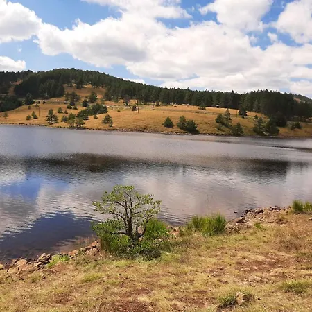 Апартаменты Tic Златибор